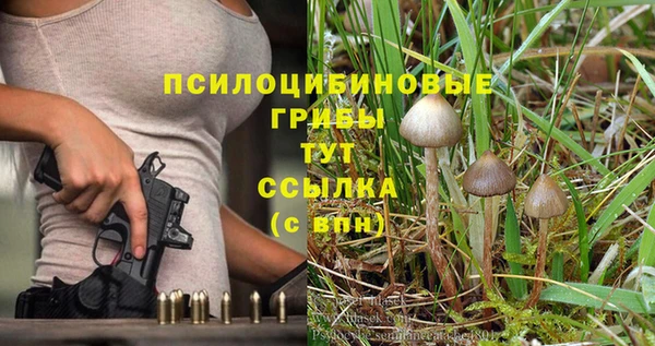 прущий лед Балахна